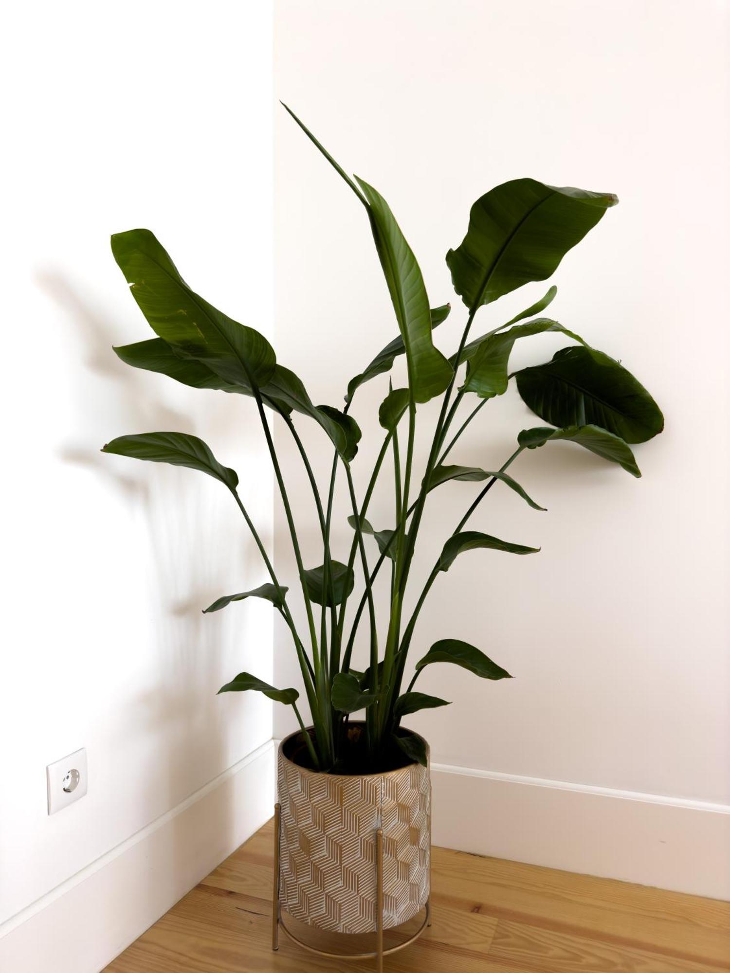 Vibrant Host Solutions-Bonfim Apartment Porto Luaran gambar